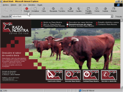 Diseño Web Raza Nostra